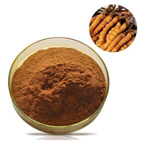 Cordyceps Sinensis Extract - Pure Natural 30%-50% Polysaccharide Powder