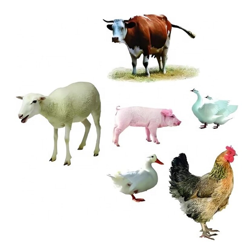 DL Methionine Powder - Bulk Sale Feed Grade for Poultry Supplement