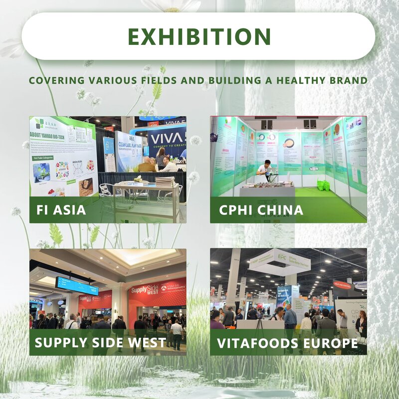 Yucca Schidigera Extract - Wholesale 15%-60% Yucca Saponin Powder Solvent Extracted