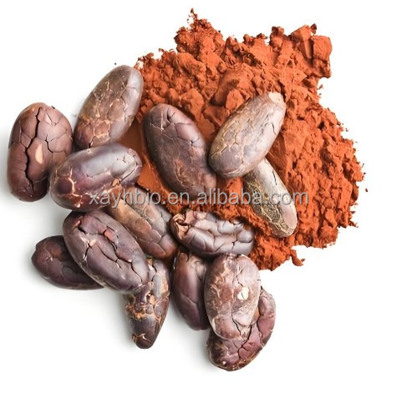 Alkalized Cocoa Powder - Factory Price High Quality Dutch Processed