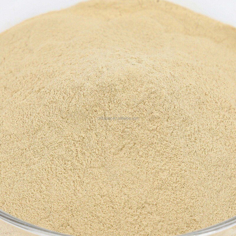 Amino Acid Powder Manufacturer - 40%-80% Organic Fertilizer