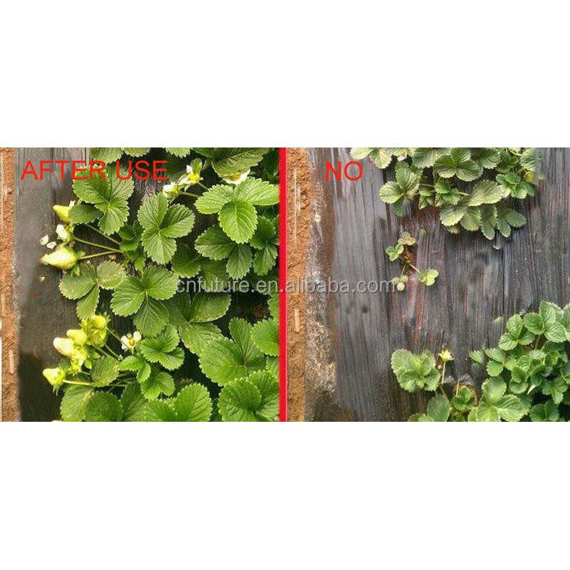 Amino Acid Powder Manufacturer - New Arrival 100% Organic Low Prices