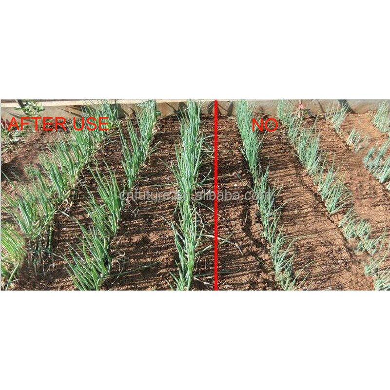 Humic Organic NPK Fertilizer Manufacturer - Free Sample Agriculture Granular