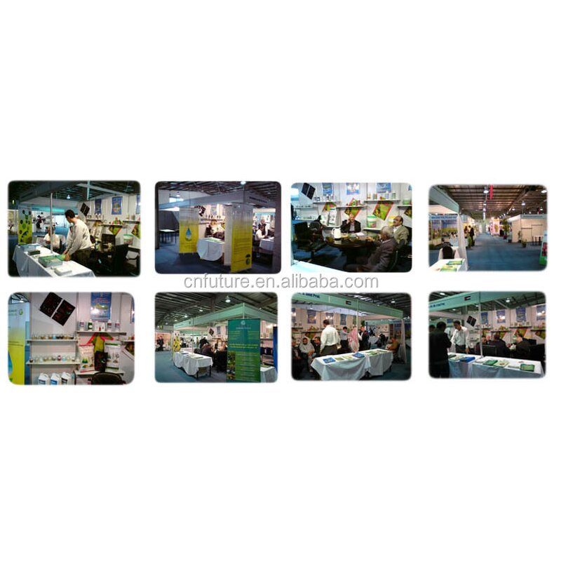 NPK Granular Fertilizer Manufacturer - High Effect 100% Organic Plant Source for Vegetable Fruit