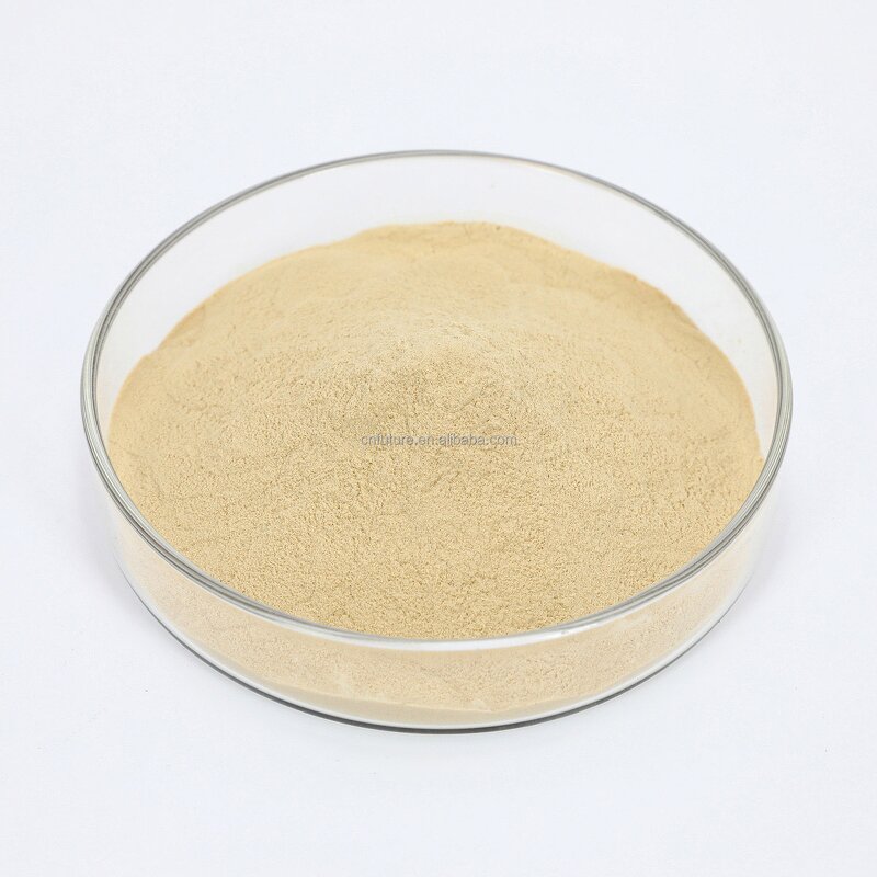 Amino Acid Powder Fertilizer Manufacturer - Organic 80% Aminoacids 13% Nitrogen Foliar for Agriculture