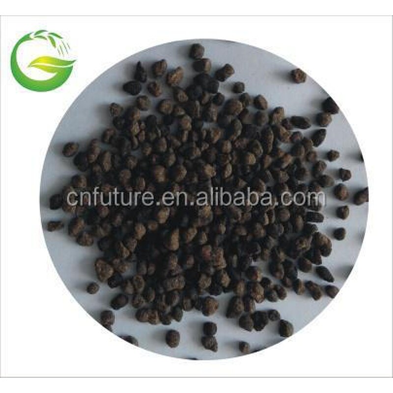 Amino Acid NPK Fertilizer Manufacturer - Agriculture Shining Granular Black Organic