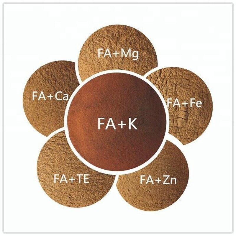 Fulvic Acid Powder Manufacturer - Organic Fertiliser for Agriculture