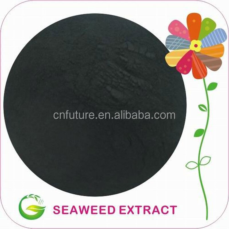 Seaweed Extract Powder Manufacturer - 100% Organic Fertilizer
