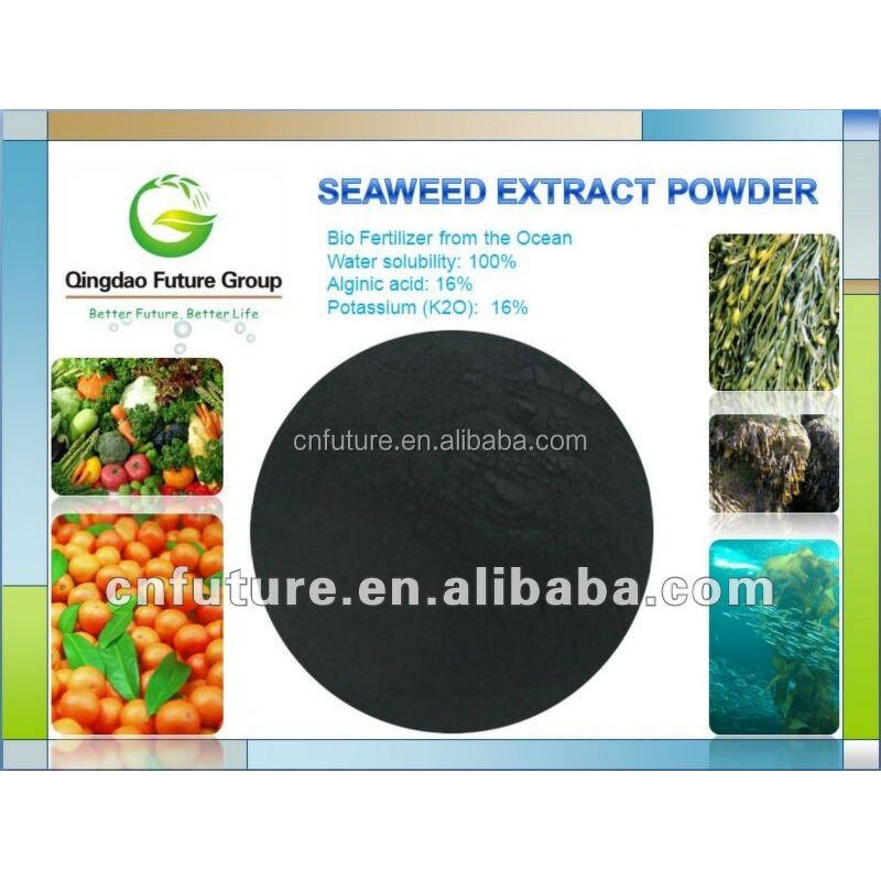 Seaweed Extract Powder Manufacturer - 100% Organic Fertilizer