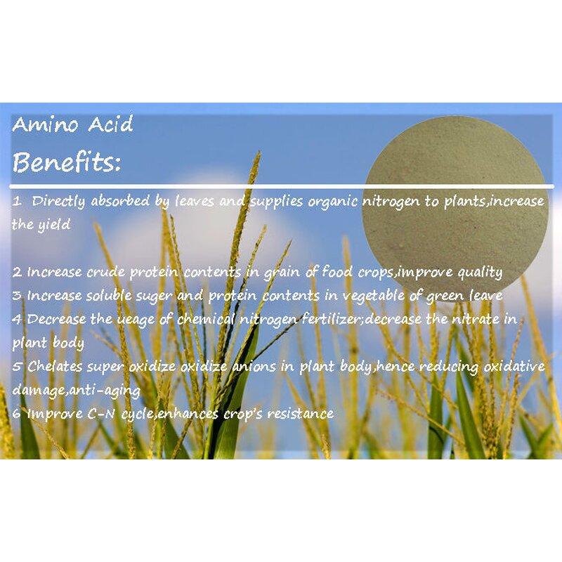 Amino Acid Fertilizer Manufacturer - Animal & Vegetable Plant Source