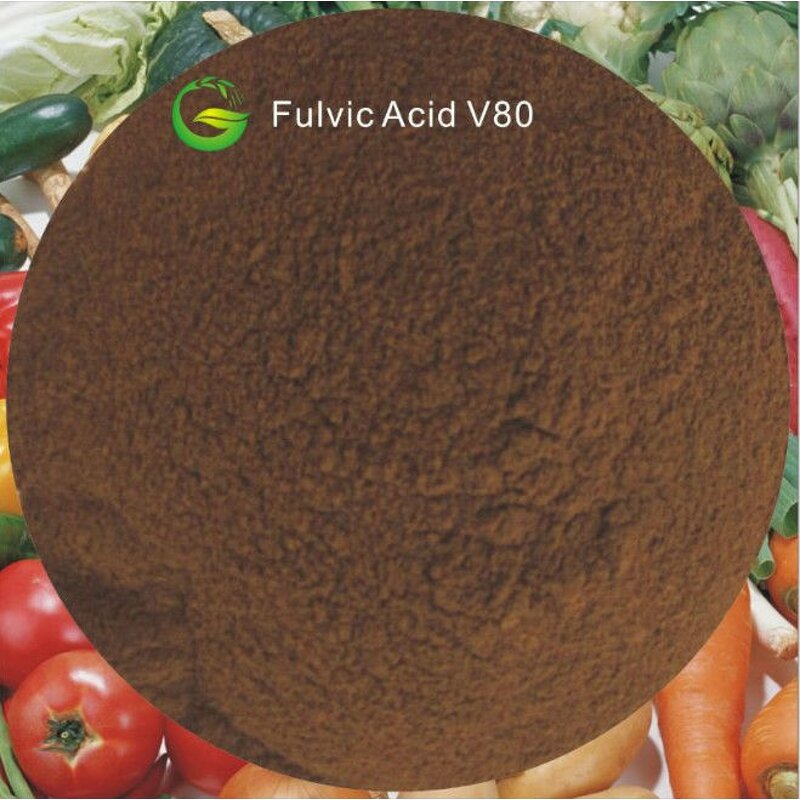 Fulvic Acid Powder Manufacturer - Organic Fertiliser for Agriculture