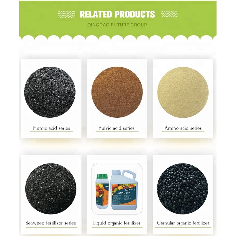 Seaweed Extract Fertilizer Manufacturer - 100% Organic Ascophyllum Nodosum