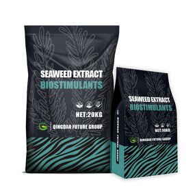 Seaweed Extract Powder Manufacturer - Wholesale Water Soluble Organic Alginic Acid Kelp Algae Extract