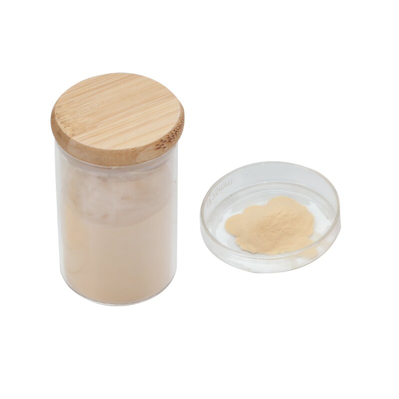 Fish Protein Amino Acid Powder Manufacturer - Hot Selling Organic Hydrolyzed Vegetable Plant Source Good Price