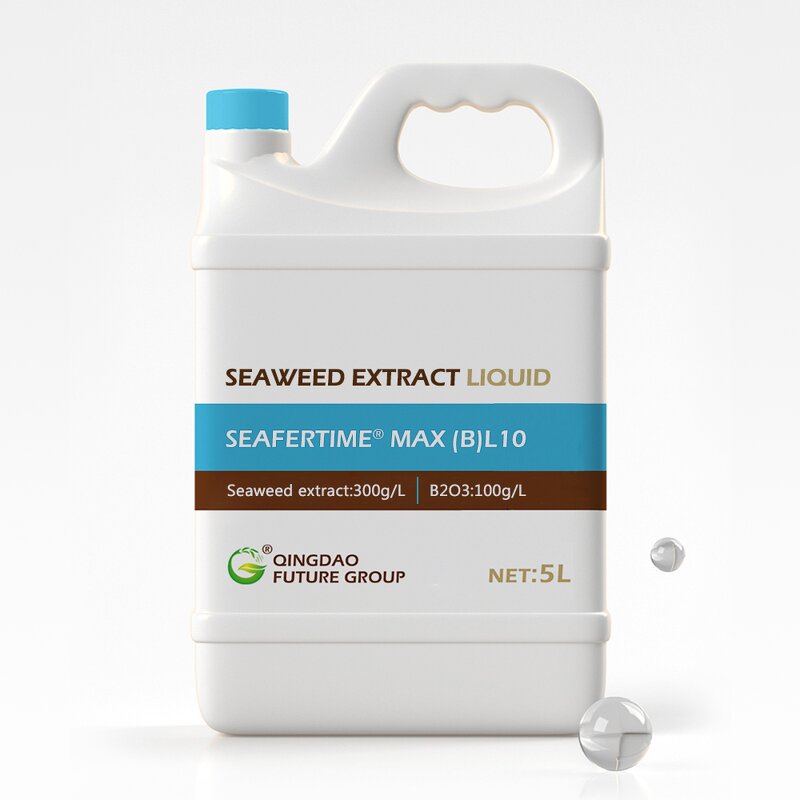 Seaweed Extract Liquid Fertilizer Manufacturer - Organic Flower Booster Foliar