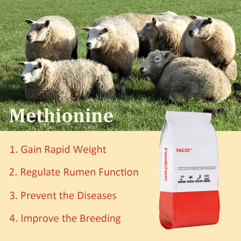 DL-Methionine Manufacturer - Raw Material Feed Grade with L-lysine 99%