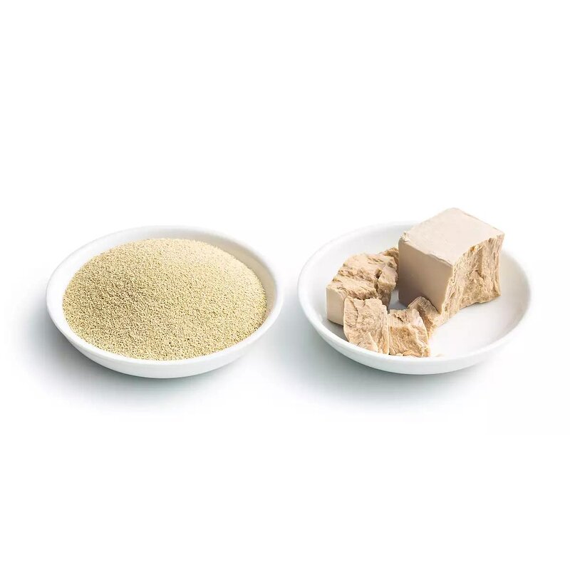 Dry Yeast Manufacturer - High Sugar Instant
