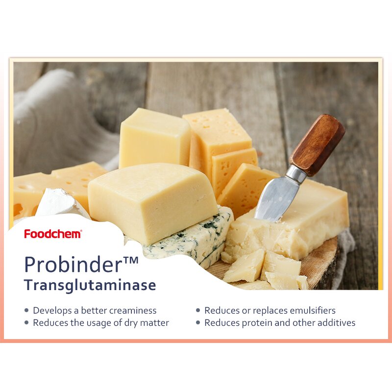 Transglutaminase Manufacturer - TG Enzyme for Cheese