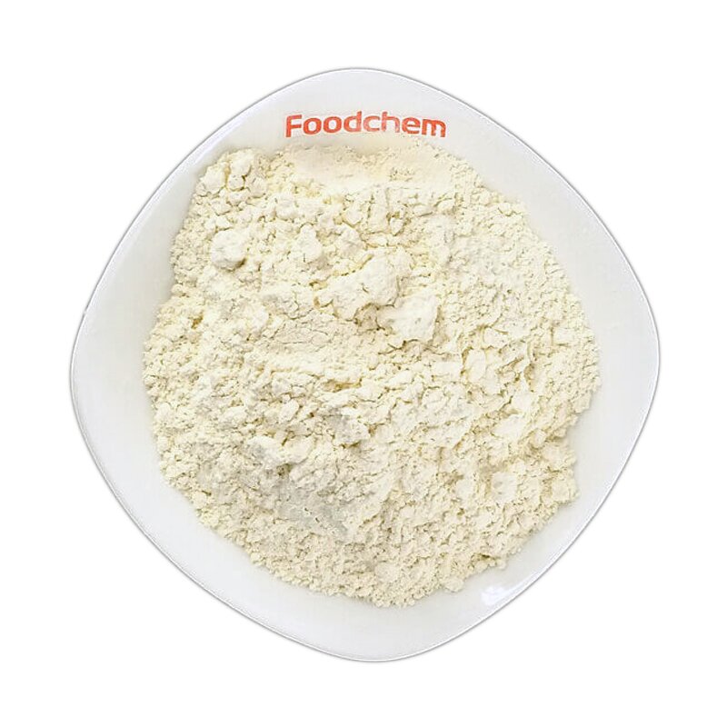 Garlic Granular Manufacturer - A GRADE Dehydrated 16-26MESH