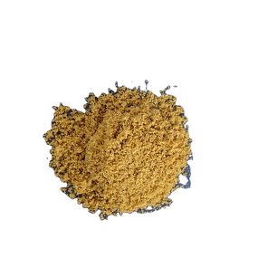 Corn Gluten Meal Manufacturer - Animal Feed Grade Amino Acids Rich