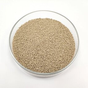 L-Lysine HCl Granule Manufacturer - Wholesale Preservatives