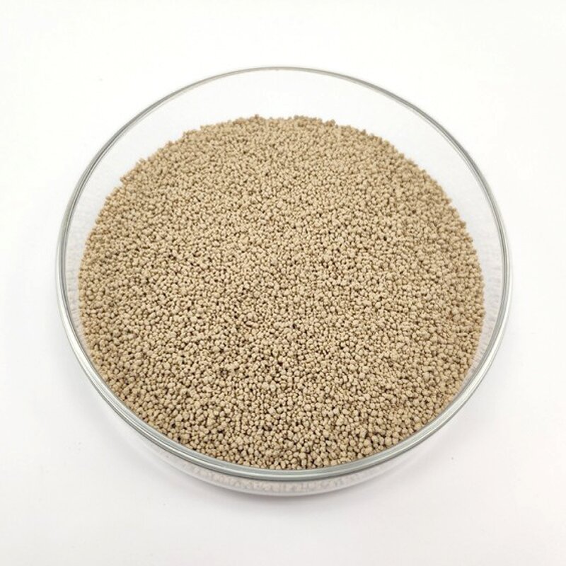 L-Lysine HCl Granule Manufacturer - Wholesale Preservatives