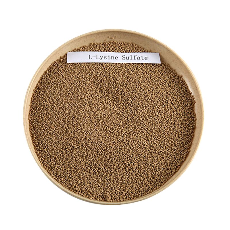 Lysine Sulphate Manufacturer - Factory Price Amino Acid Feed Additive 70