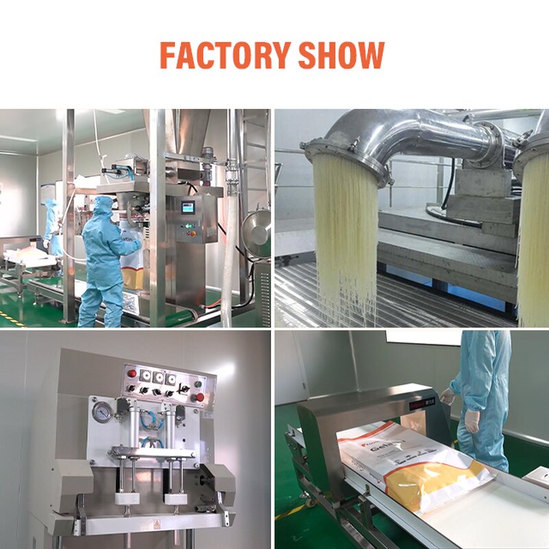 L-Threonine Powder Manufacturer - 98.5% Feed Grade Amino Acid Feed Additives for Poultry