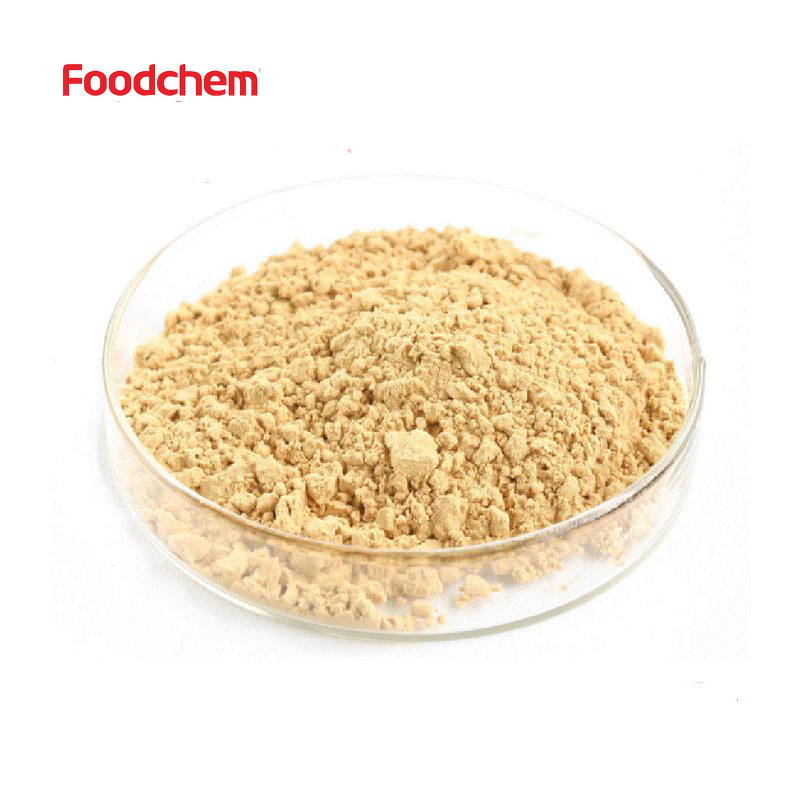 Monk Fruit Extract Powder Manufacturer - Bulk Organic