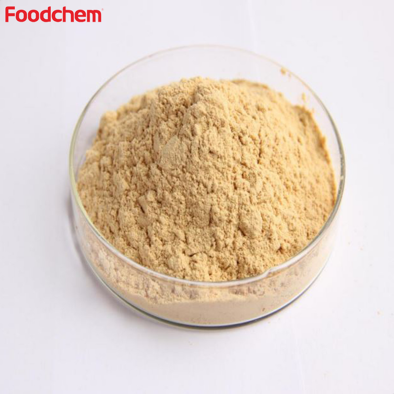 Monk Fruit Extract Powder Manufacturer - Bulk Organic