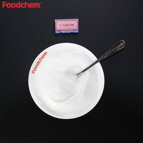 L-Lysine Powder Manufacturer - Feed Grade Sulfate & Food Grade