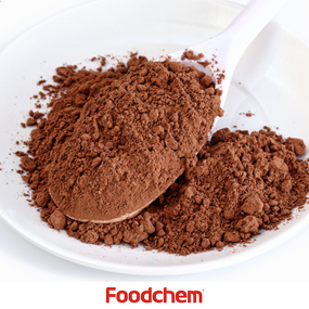 Cocoa Powder Manufacturer - Pure High Quality