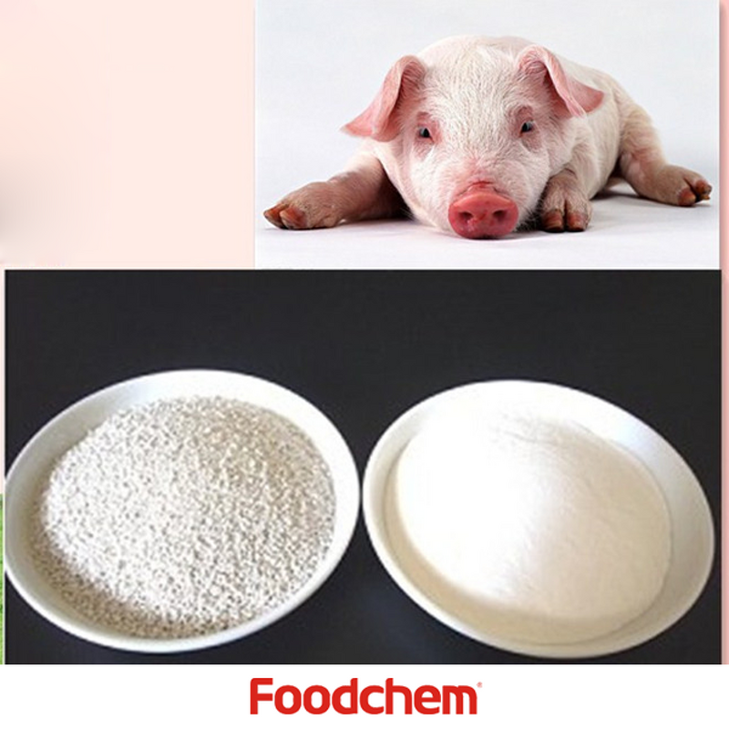 Dicalcium Phosphate Manufacturer - 18% DCP for Animal Feed