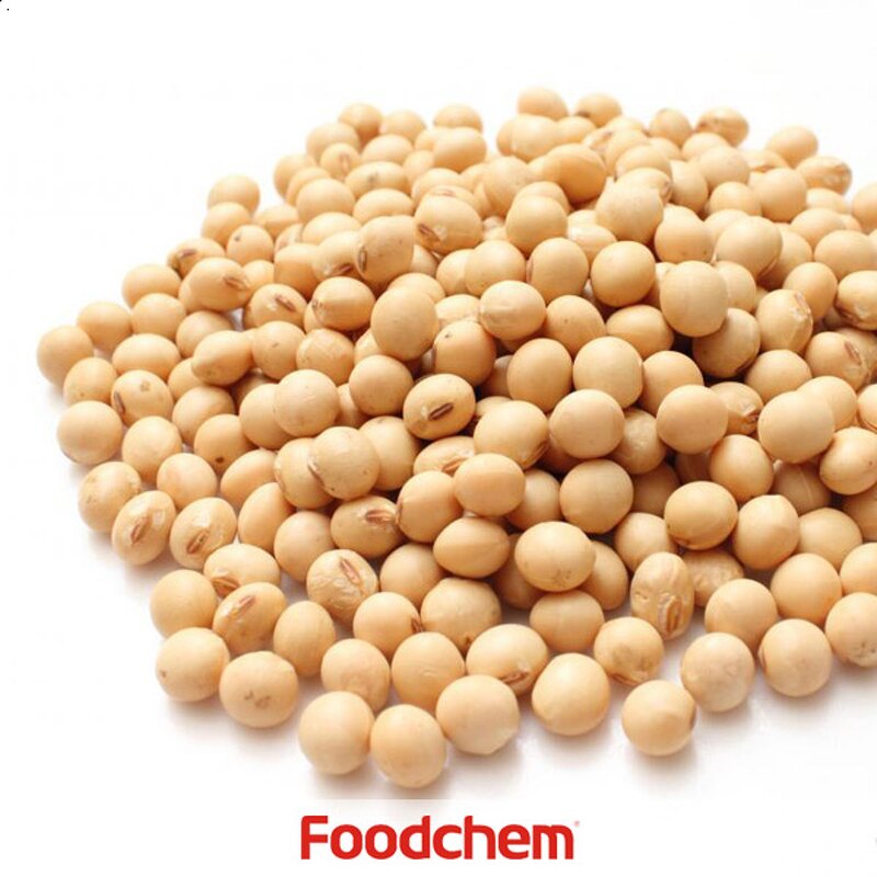 Soy Isolated Protein Manufacturer - Non Gmo for Meat Processing