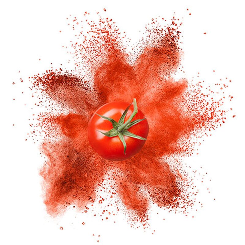 Tomato Powder Manufacturer - Spray Dried Bulk