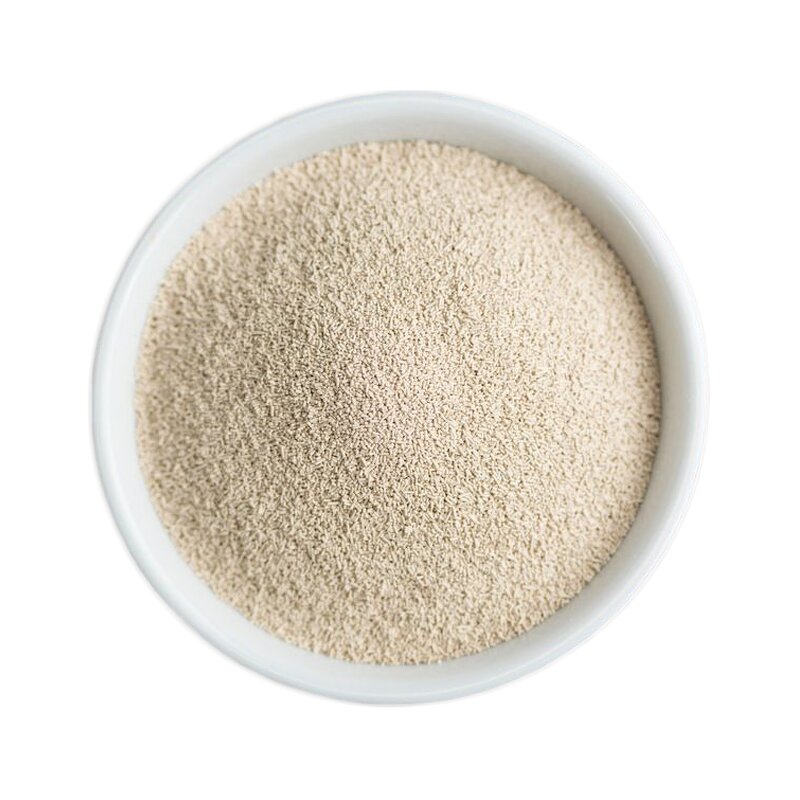 Dry Yeast Manufacturer - High Sugar Instant