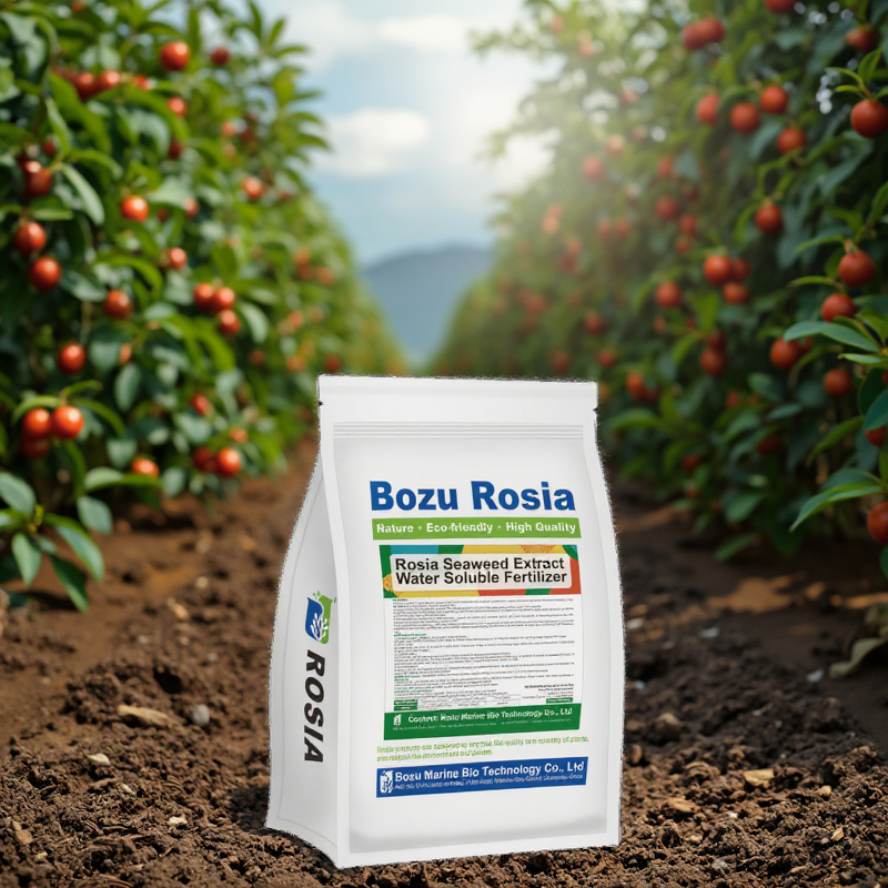 Seaweed Extract Powder Manufacturer - Authentic Agricultural Export-grade Rooting Foliar Fertilizer