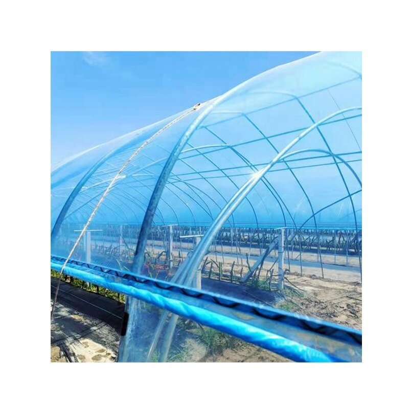 Greenhouse Plastic Film Manufacturer - Wholesale Agricultural Transparent PO Longevity Thickened No Drip