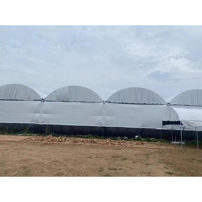 Greenhouse Plastic Film Manufacturer - Large Anti-Aging Transparent Fogging Flow Drip Single Layer for Plants