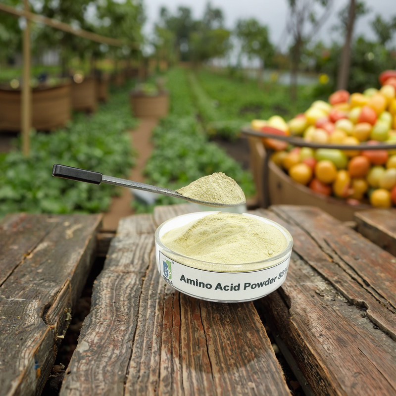 Amino Acid Powder Fertilizer Manufacturer - Organic 80% Enzymatic Plant Water-Soluble High Concentration