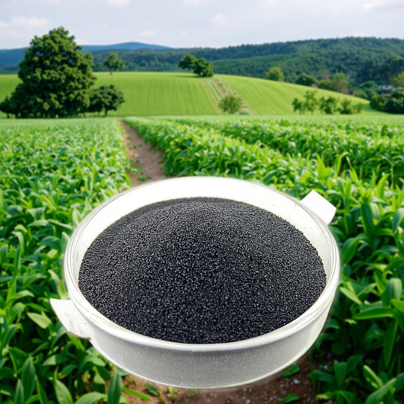 Seaweed Extract Fertilizer Manufacturer - Alginate Rapid Root Growth Water-soluble Transplanting