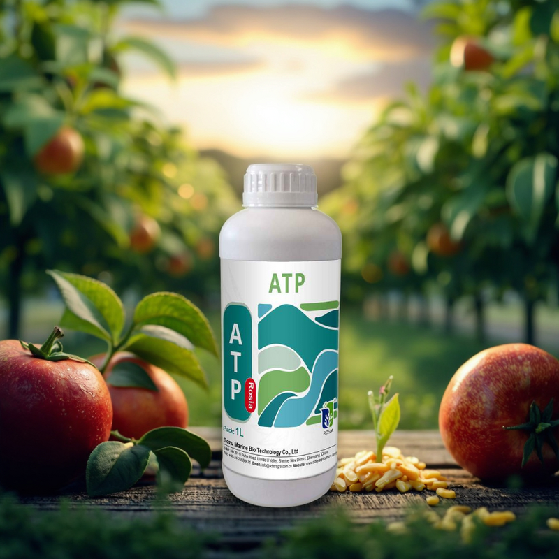 Amino Acid Fertilizer Manufacturer - Water-soluble Trace Element Universal for Vegetables Fruits