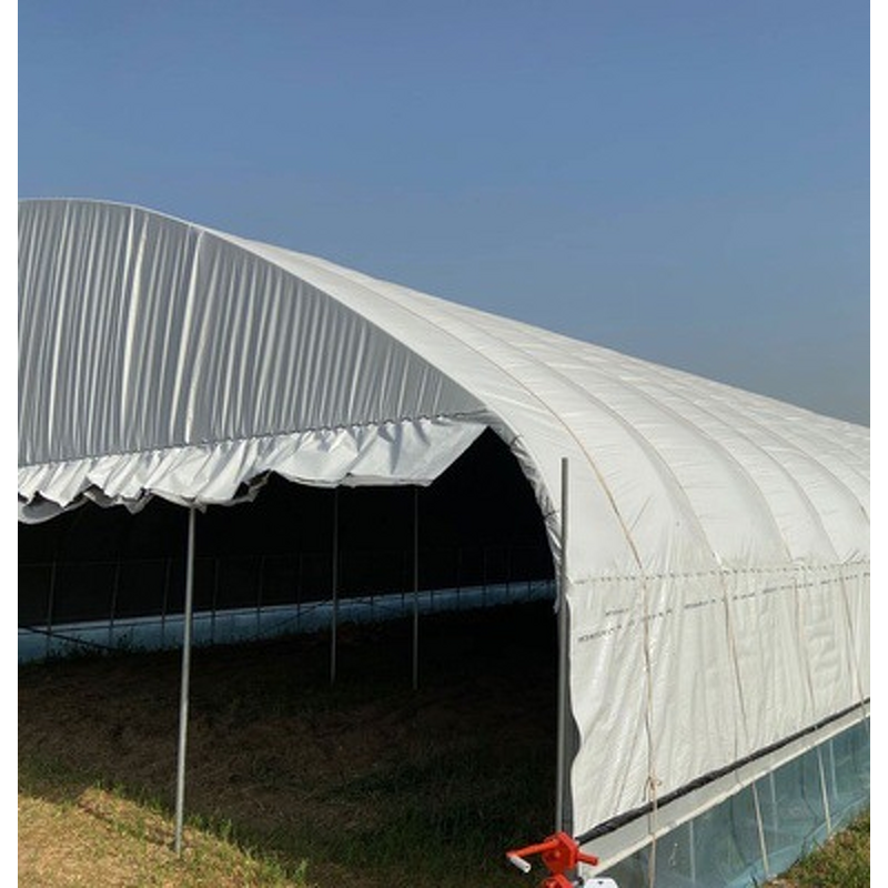 Greenhouse PO Film Manufacturer - Wholesale Agricultural Transparent White Longevity Thickened No Drip