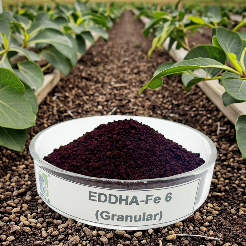 Iron Fertilizer Powder Manufacturer - Organic Fe Chelated Vegetable Plant Growth-Promoting