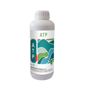 Amino Acid Fertilizer Manufacturer - Water-soluble Trace Element Universal for Vegetables Fruits