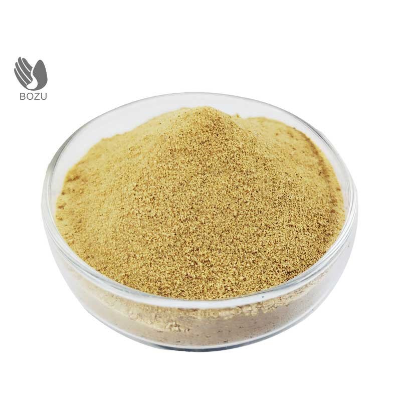 Amino Acid Powder Fertilizer Manufacturer - High Content 30-80% Soluble for Flower Fruit Development