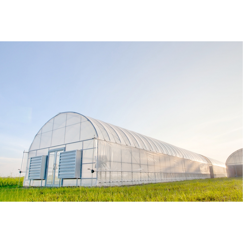Greenhouse PE Film Manufacturer - Wholesale Transparent Single Layer Fogging Flow Drip Anti-Aging for Agricultural