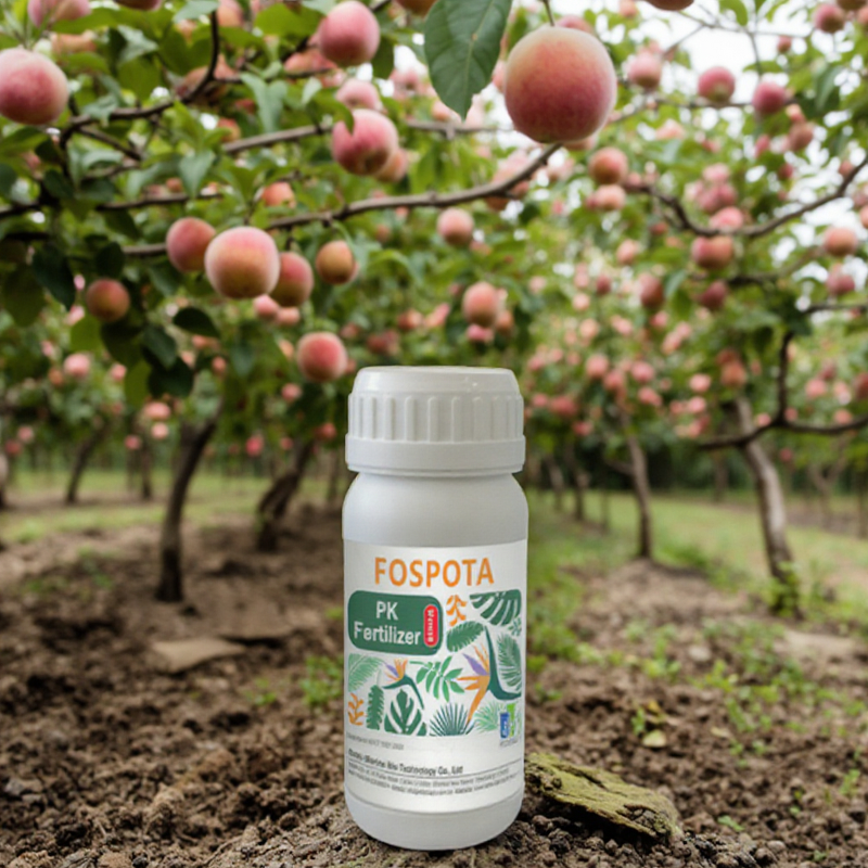 Water Soluble Fertilizer Manufacturer - High Phosphorus Potassium with Trace Elements for Fruit Trees Vegetables