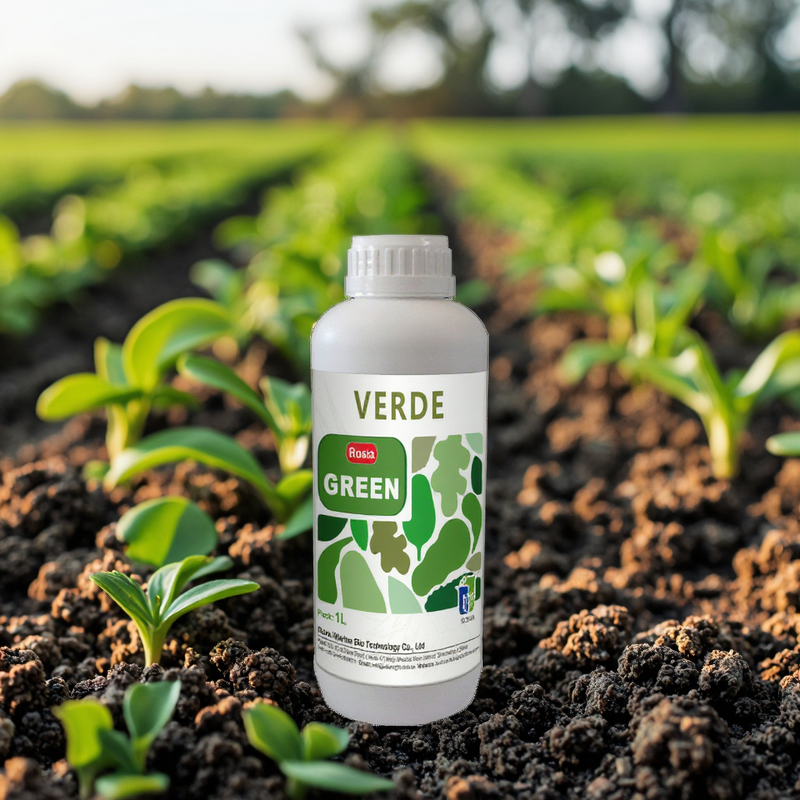 Green Leaves Fertilizer Manufacturer - ROSIA Indoor Plant Amino Acid Organic 100% Purity