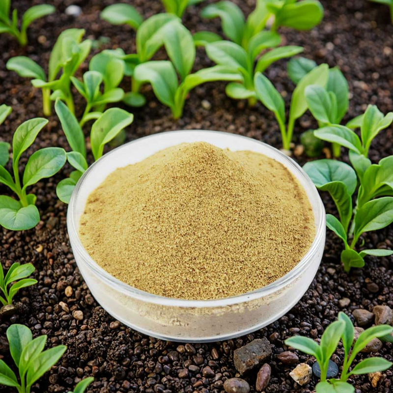 Amino Acid Powder Fertilizer Manufacturer - High Content 30-80% Soluble for Flower Fruit Development